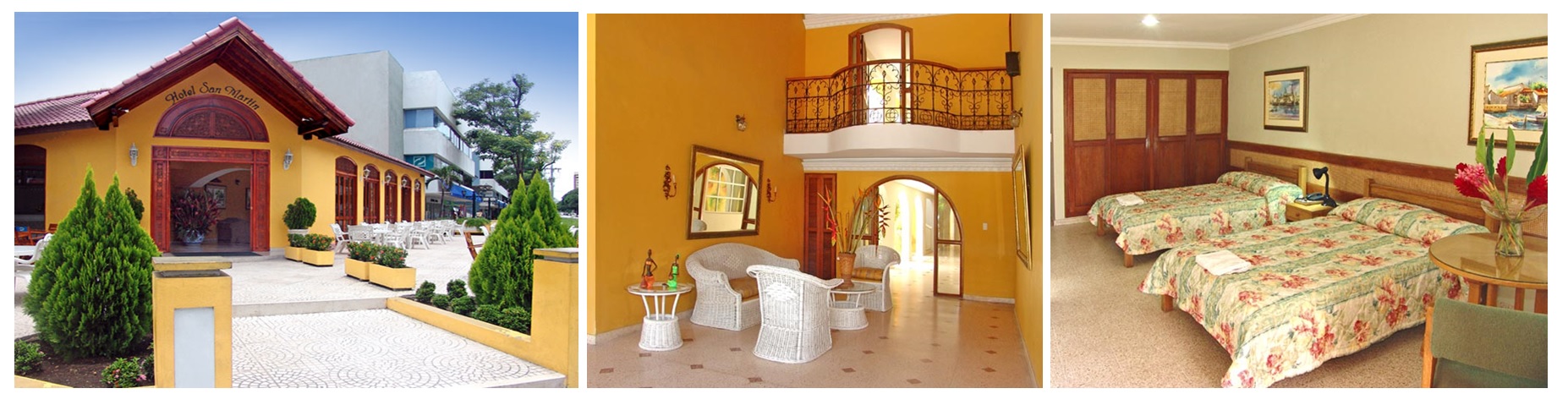 Hotel San Martin